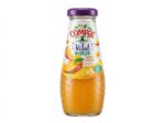 Compal Vidro Néctar Manga 200ml