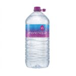 Monchique Água PET 5L