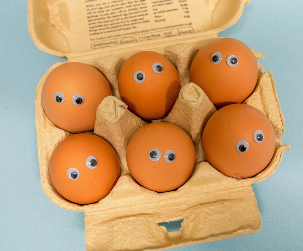Organic Free-Range Eggs 12-count